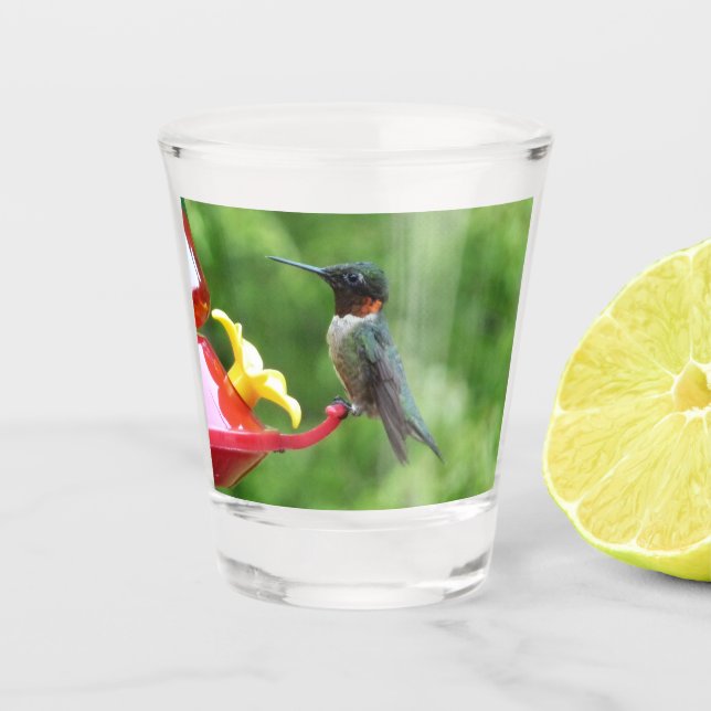 Ruby-Throated Hummingbird Bird Photography Shot Glass (Front)