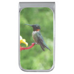 Ruby-Throated Hummingbird Bird Photography Silver Finish Money Clip
