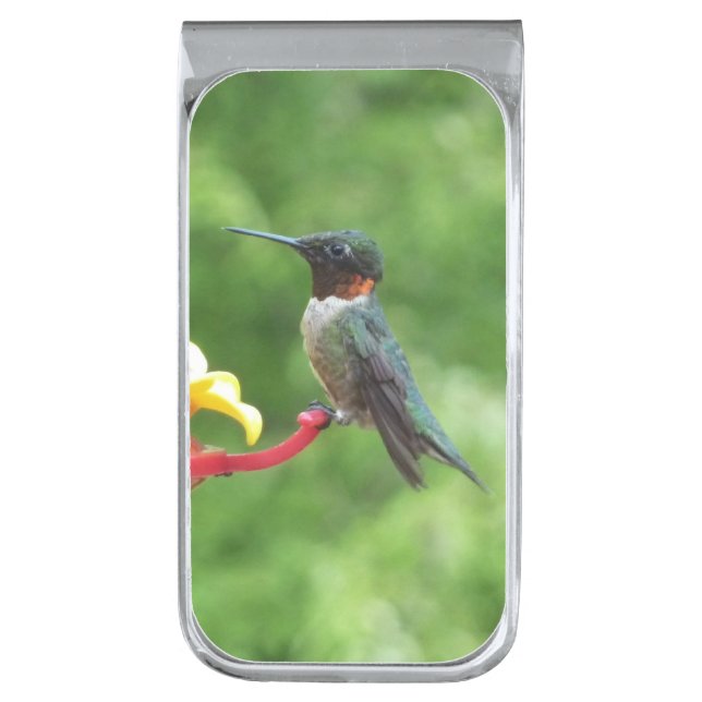 Ruby-Throated Hummingbird Bird Photography Silver Finish Money Clip (Front Vertical)