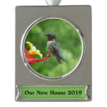 Ruby-Throated Hummingbird Bird Photography Silver Plated Banner Ornament