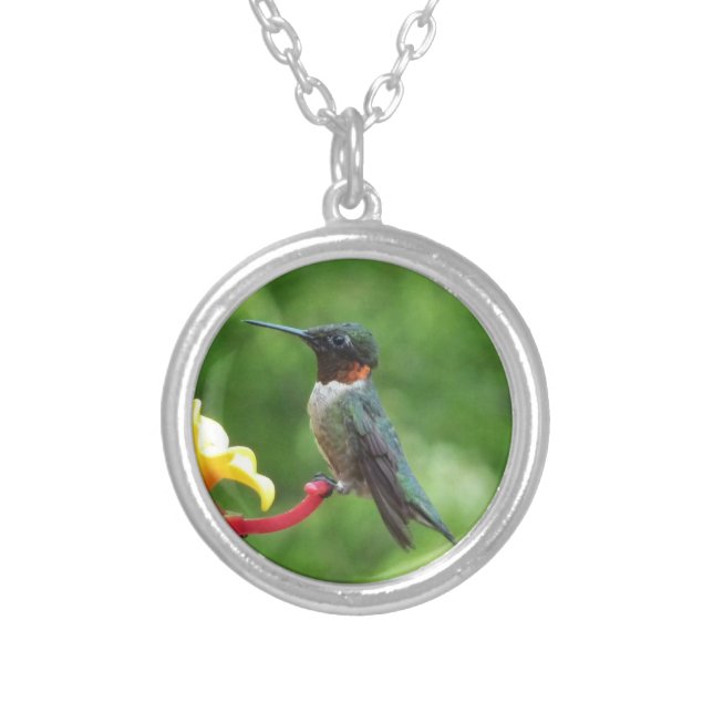 Ruby-Throated Hummingbird Bird Photography Silver Plated Necklace (Front)