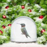 Ruby-Throated Hummingbird Bird Photography Snow Globe