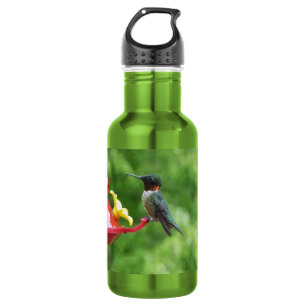 Ruby-Throated Hummingbird Bird Photography Stainless Steel Water Bottle