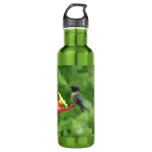 Ruby-Throated Hummingbird Bird Photography Stainless Steel Water Bottle
