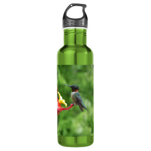 Ruby-Throated Hummingbird Bird Photography Stainless Steel Water Bottle