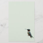 Ruby-Throated Hummingbird Bird Photography Stationery