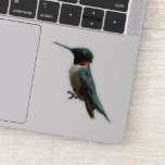 Ruby-Throated Hummingbird Bird Photography Sticker