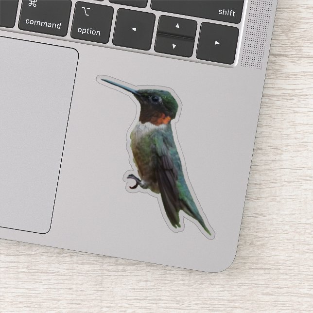 Ruby-Throated Hummingbird Bird Photography Sticker (Detail)