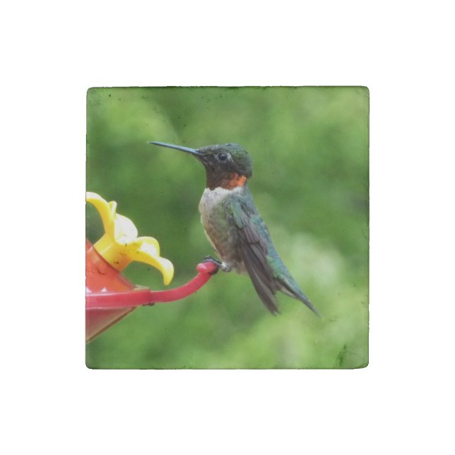 Ruby-Throated Hummingbird Bird Photography Stone Magnet (Front)