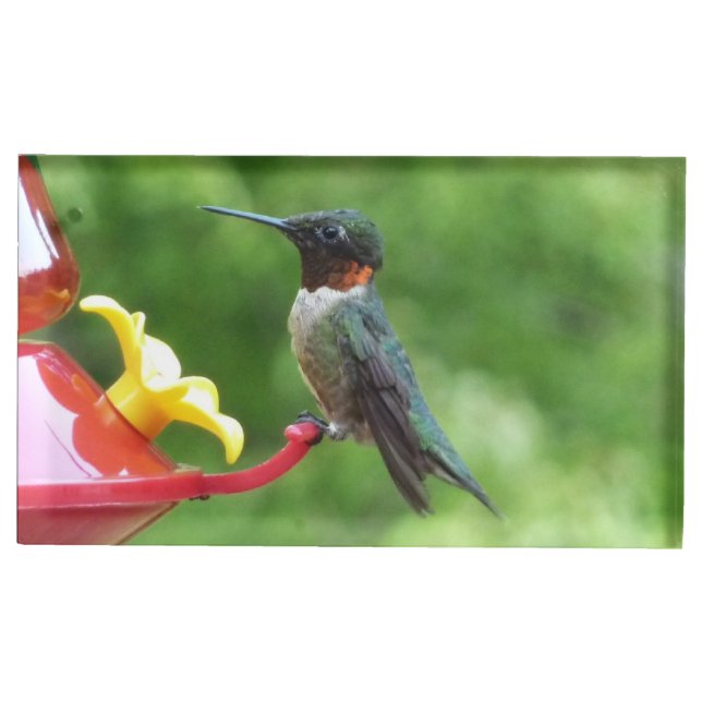 Ruby-Throated Hummingbird Bird Photography Table Card Holder (Front)