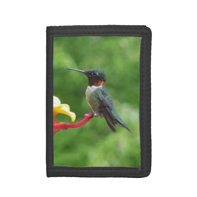 Ruby-Throated Hummingbird Bird Photography Tri-fold Wallet (Front Vertical)