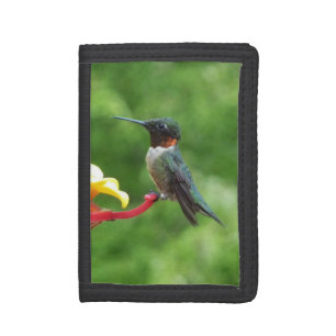 Ruby-Throated Hummingbird Bird Photography Trifold Wallet