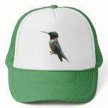Ruby-Throated Hummingbird Bird Photography Trucker Hat