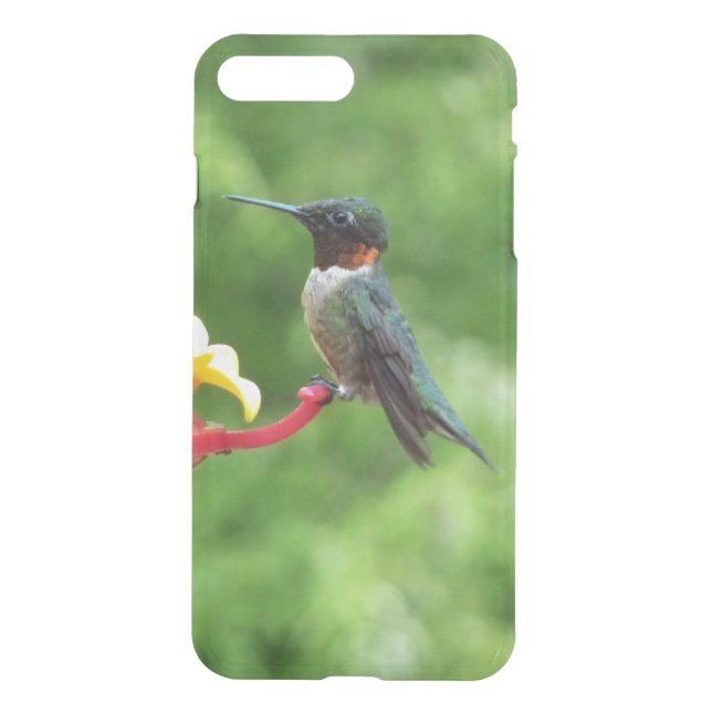 Ruby-Throated Hummingbird Bird Photography Uncommon iPhone Case (Back)