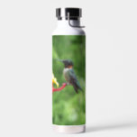 Ruby-Throated Hummingbird Bird Photography Water Bottle