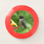 Ruby-Throated Hummingbird Bird Photography Wham-O Frisbee