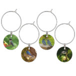 Ruby-Throated Hummingbird Bird Photography Wine Charm