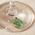 Ruby-Throated Hummingbird Bird Photography Wine Charm