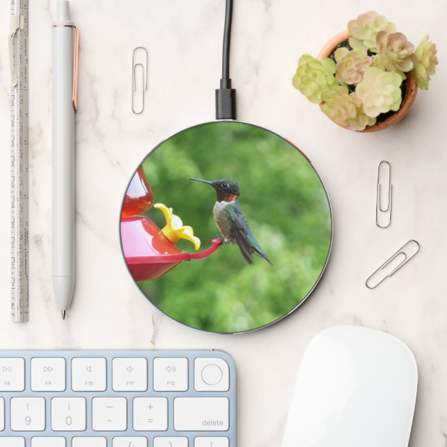 Ruby-Throated Hummingbird Bird Photography Wireless Charger (Desk)