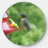 Ruby-Throated Hummingbird Bird Photography Wireless Charger (Front)