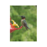 Ruby-Throated Hummingbird Bird Photography Wood Poster