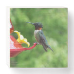 Ruby-Throated Hummingbird Bird Photography Wooden Box Sign