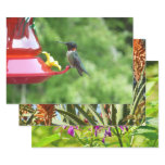 Ruby-Throated Hummingbird Bird Photography Wrapping Paper Sheets