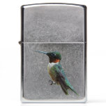 Ruby-Throated Hummingbird Bird Photography Zippo Lighter