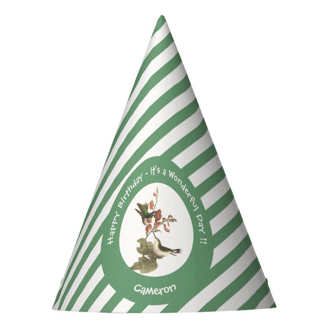 Ruby-throated Hummingbird, Birthday or Other Party Hat (Front)