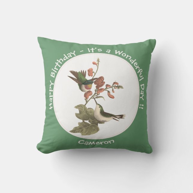 Ruby-throated Hummingbird, Birthday or Other Party Throw Pillow (Front)