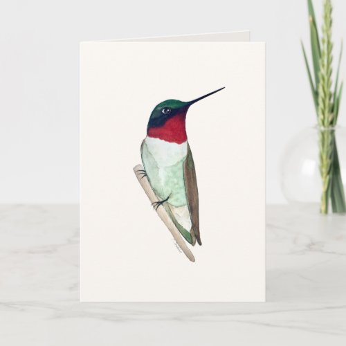 Ruby_throated Hummingbird Card