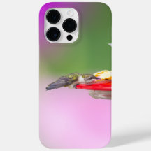 Ruby-Throated Hummingbird