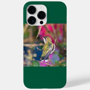 Ruby-Throated Hummingbird  Case-Mate iPhone 14 Pro Max Case