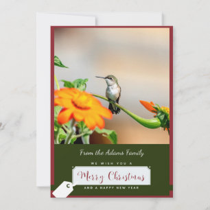 Ruby-throated hummingbird Christmas Card