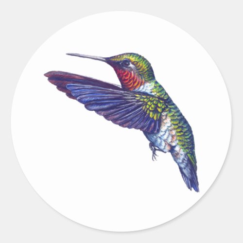 Ruby Throated Hummingbird Classic Round Sticker