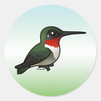 Ruby-throated Hummingbird Classic Round Sticker