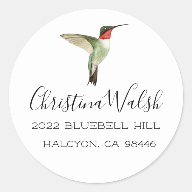 Ruby-throated Hummingbird Classic Round Sticker (Front)