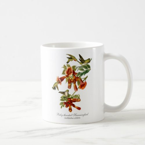 Ruby_throated Hummingbird Coffee Mug