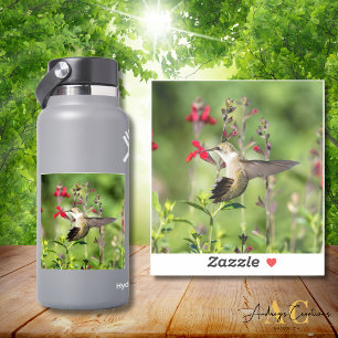 Ruby-Throated Hummingbird Cut Vinyl Sticker