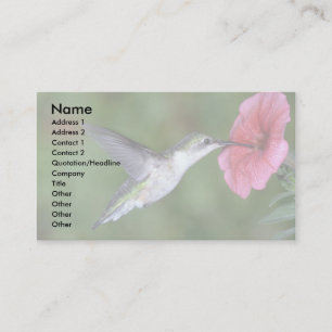 Ruby-throated Hummingbird (female) with petunia Business Card