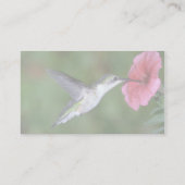 Ruby-throated Hummingbird (female) with petunia Business Card (Back)