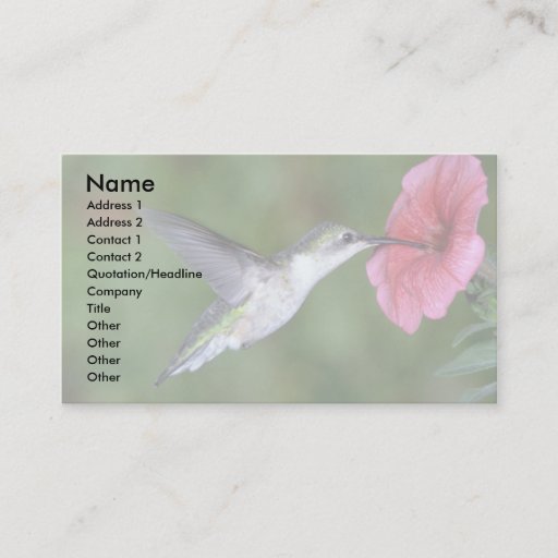 Customizable Ruby-throated Hummingbird (female) with petunia Business Card