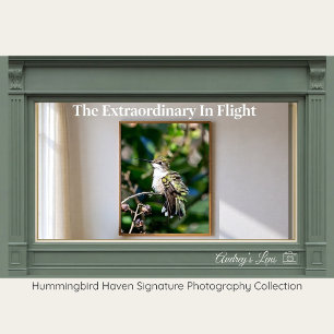 Ruby-Throated Hummingbird Fine Art Photography Poster