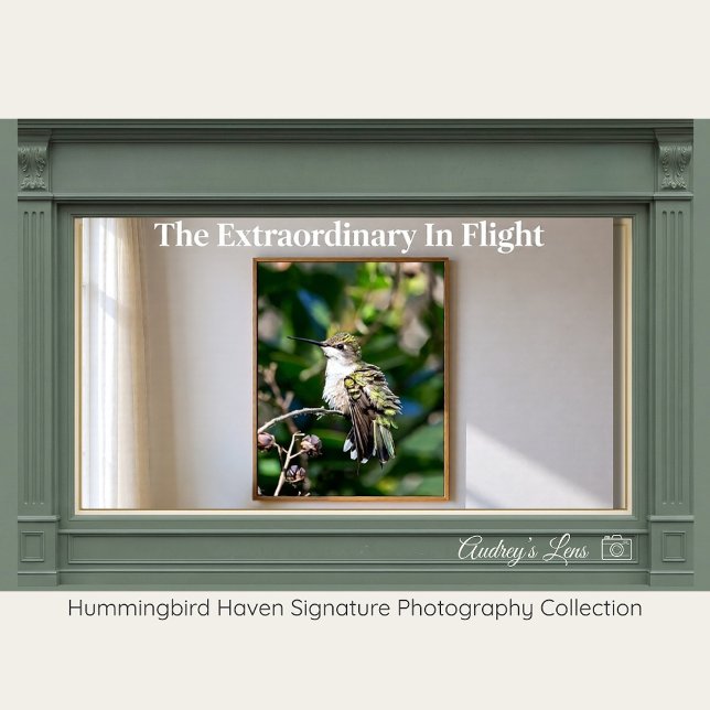 Ruby-Throated Hummingbird Fine Art Photography  Poster (Creator Uploaded)