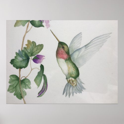 Ruby_throated Hummingbird Garden Watercolor Poster