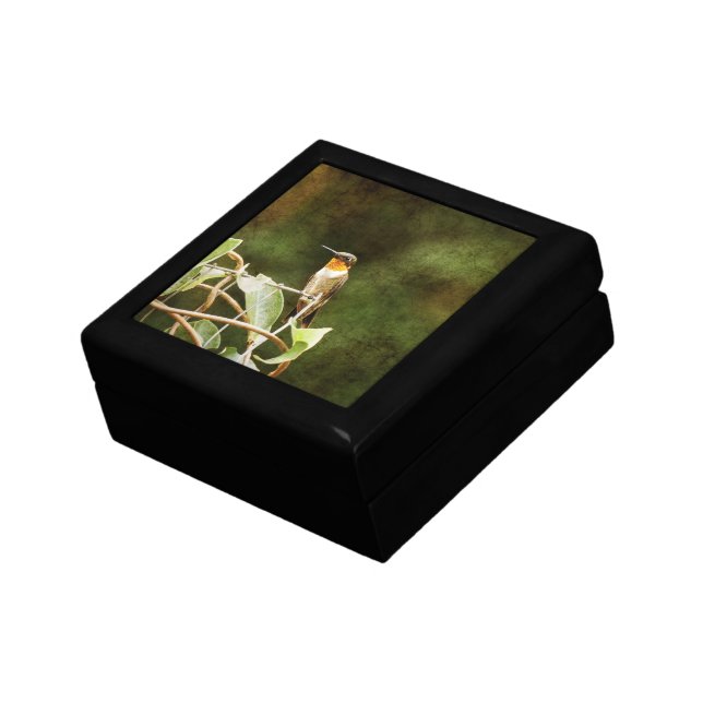 Ruby Throated Hummingbird Gift Box (Side)