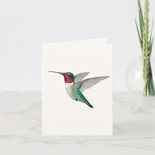 Ruby_throated Hummingbird Greeting Card