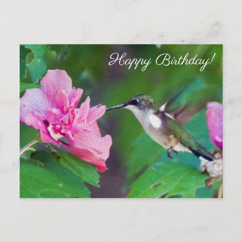 Ruby Throated Hummingbird Happy Birthday Postcard