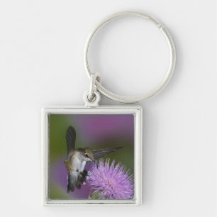 Ruby-throated hummingbird in flight at thistle keychain