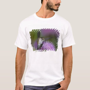 Ruby-throated hummingbird in flight at thistle T-Shirt